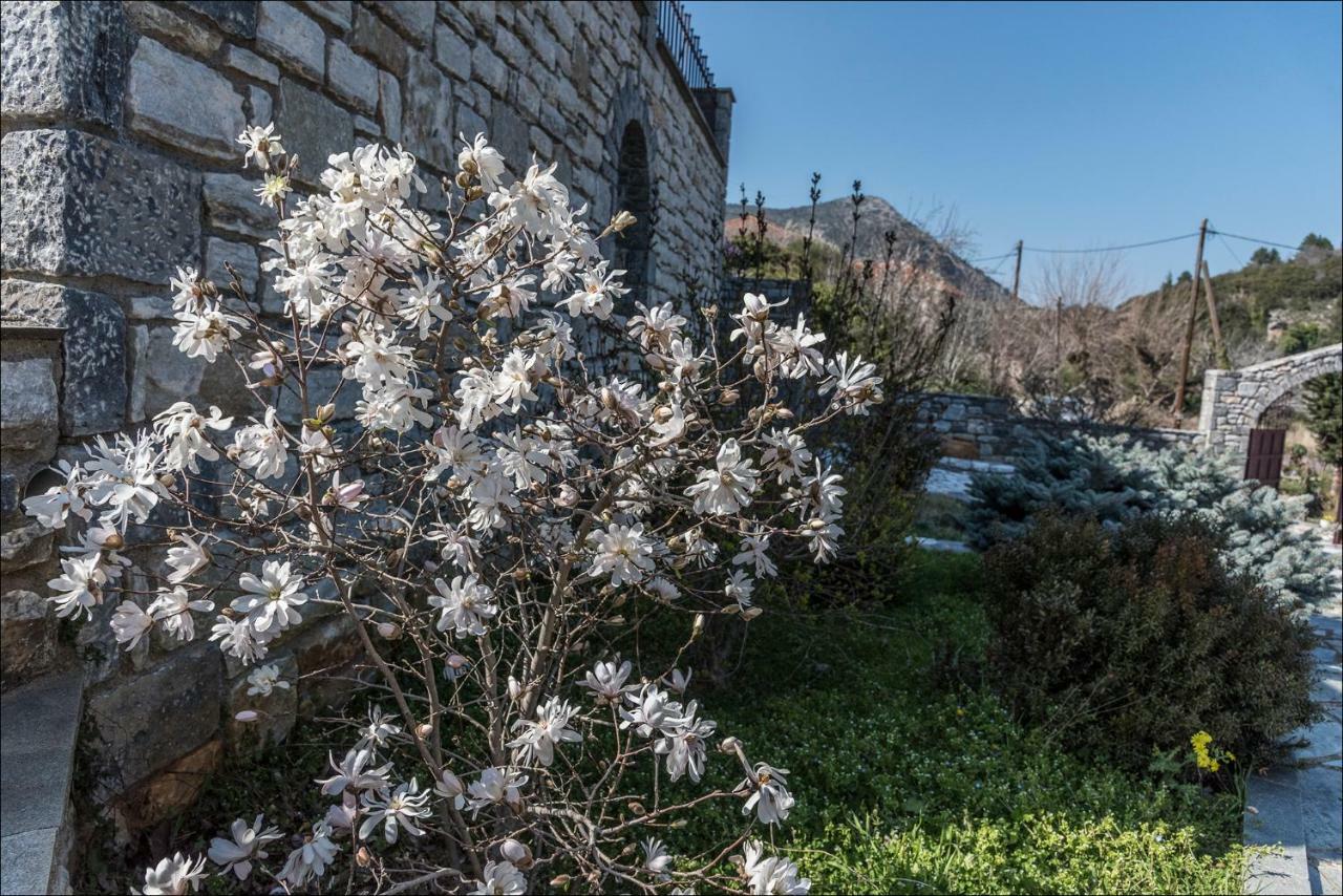 فيلا Stone Mansion Anavryti, Αμα 20569 ميستراس المظهر الخارجي الصورة